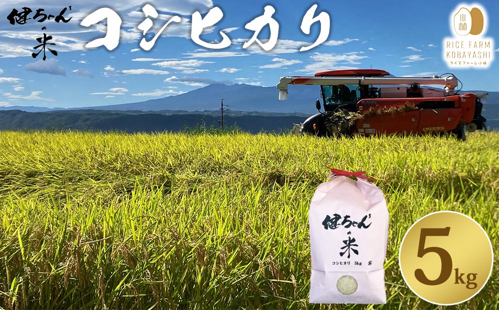 米・食味鑑定分析コンクール特別優秀賞受賞！冷めても美味しい健ちゃんちの米（コシヒカリ）5kg｜ライスファーム小林※2025年10月中旬以降順次発送