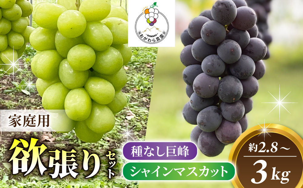 【おがわら農園】家庭用欲張りセット！（シャインマスカット3房・種無し巨峰3～4房）約2.8～3kg