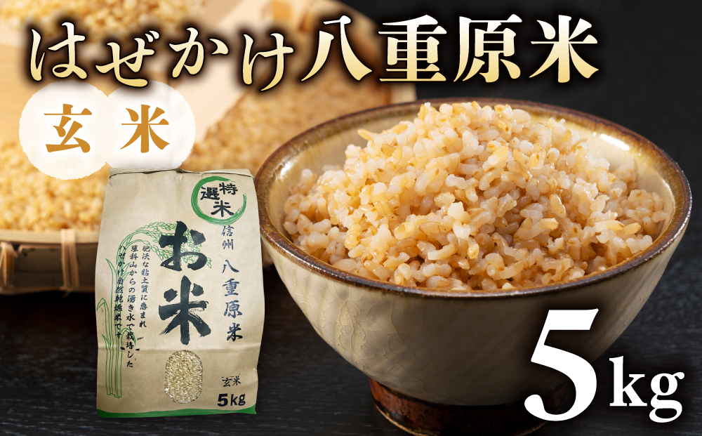令和7年新米予約！標高700mの台地で稲作一筋の農家が育てたはぜかけ八重原米5kg（5kg×1袋）玄米　※2025年11月上旬以降順次発送｜山陽農園　コシヒカリ 特A良質米
