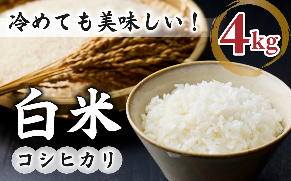 【小田農園】冷めても美味しいコシヒカリ　白米4kg　｜※2025年9月下旬以降、発送開始予定　※着日指定不可