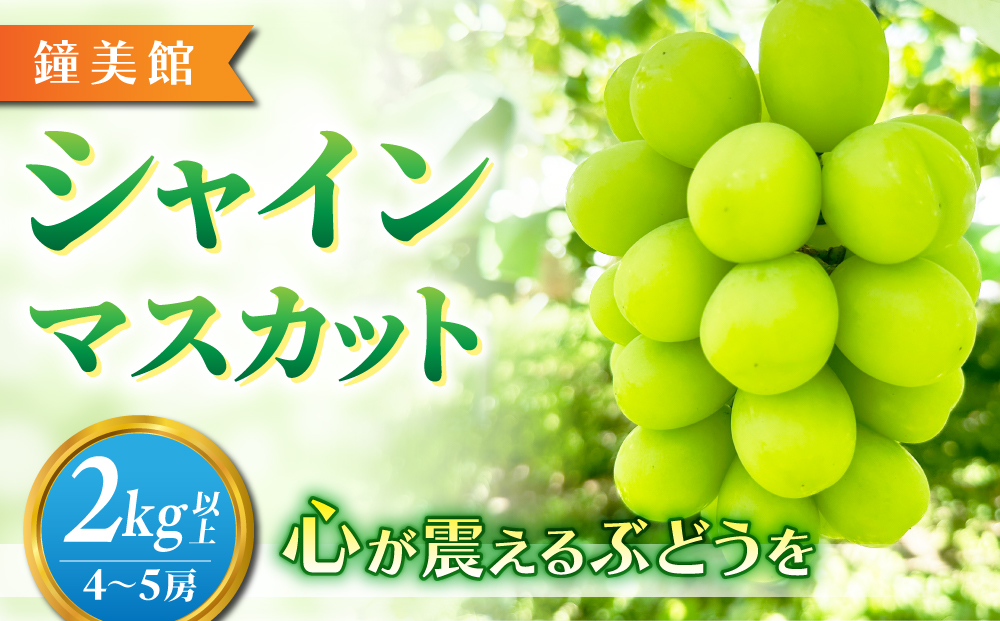 【鐘美館】標高750mで育ったシャインマスカット2キロ以上（4～5房） ※2025年9月中旬以降順次発送