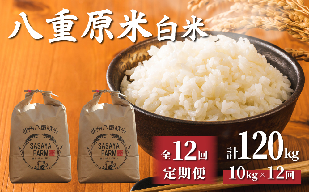 令和7年新米予約【12回定期便】東御市産 八重原米10kg（白米）　※2025年10月以降順次発送｜笹屋農園「農薬削減長野県認証取得」
