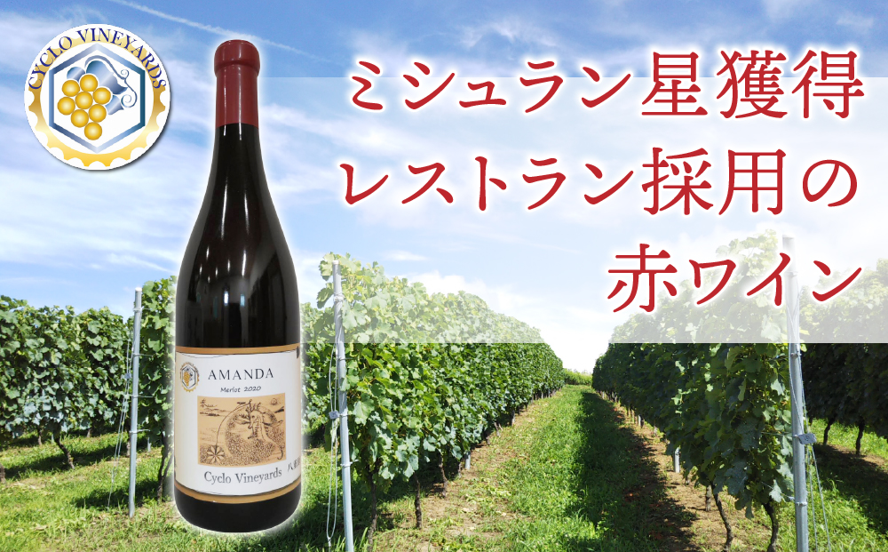 （年内発送）ミシュラン星獲得レストラン採用の赤ワイン【496ワイナリー】｜アマンダ　メルロー