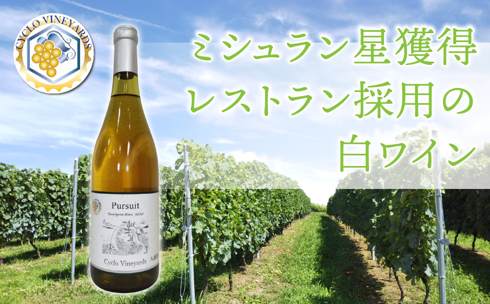 （年内発送）ミシュラン星獲得レストラン採用の白ワイン【496ワイナリー】｜ソーヴィニヨンブラン1本