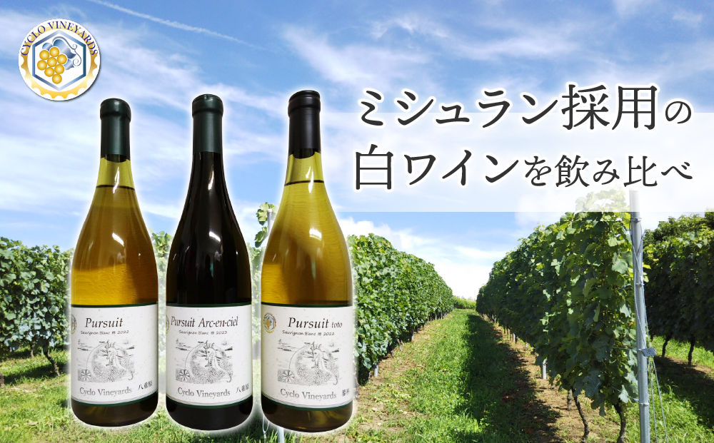 凍霜害 応援！ミシュラン採用の白ワインを飲み比べ【496ワイナリー】