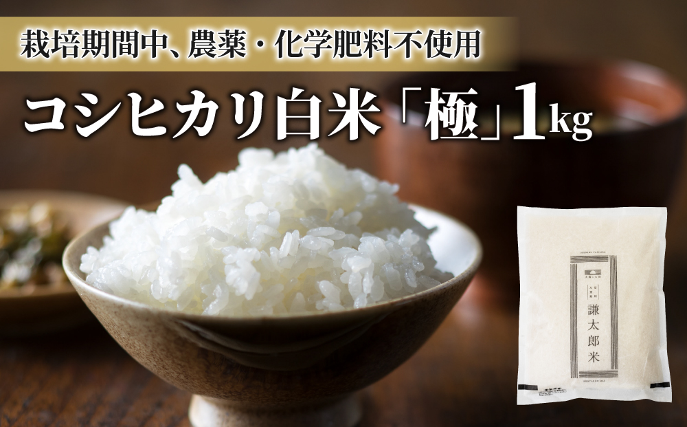 【太陽と大地】八重原産コシヒカリ白米「極」（栽培期間中農薬化学肥料不使用）1kg