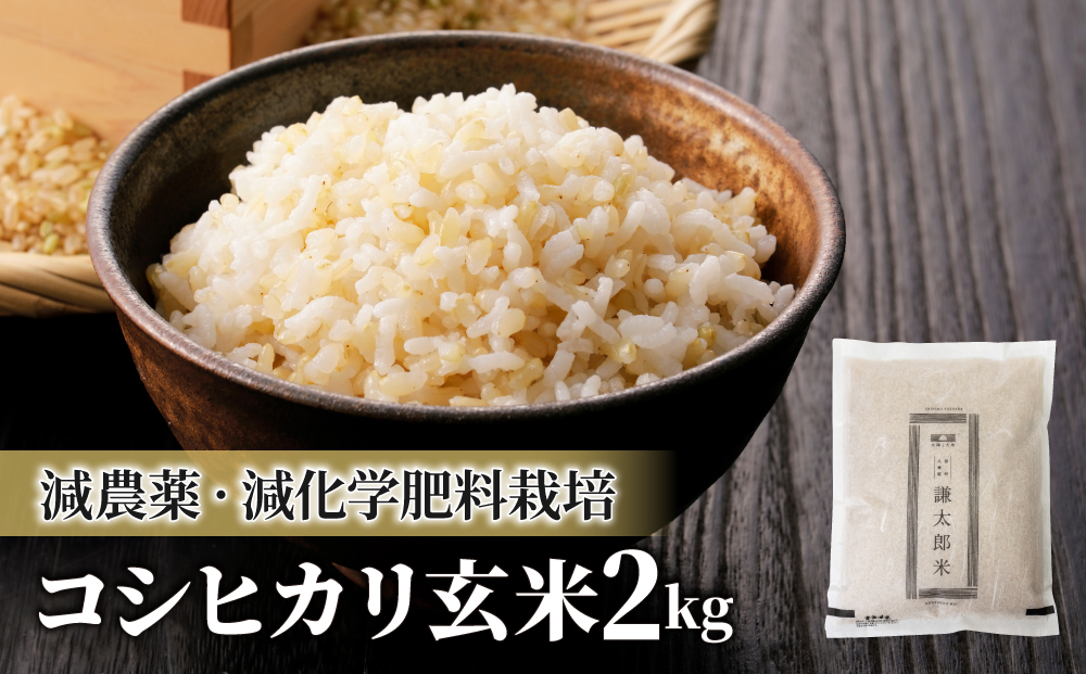 【令和7年産】八重原産 コシヒカリ 玄米 2kg｜特別栽培米（栽培期間中減農薬・減化学肥料栽培）【太陽と大地】