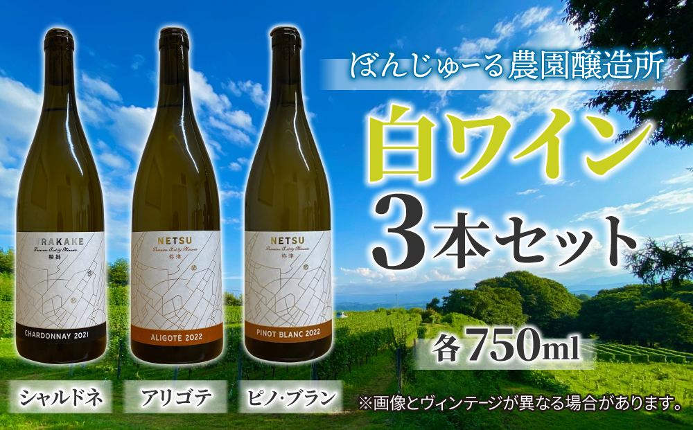 【ぼんじゅーる農園醸造所】人気の白ワイン3本セット（鞍掛シャルドネ、祢津アリゴテ、祢津ピノ・ブラン）| 国産 長野県 お酒