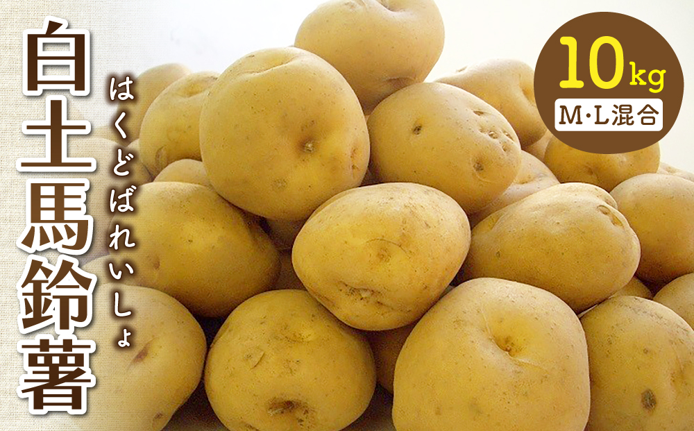 東御市産白土馬鈴薯約10kg【8月～12月お届け】