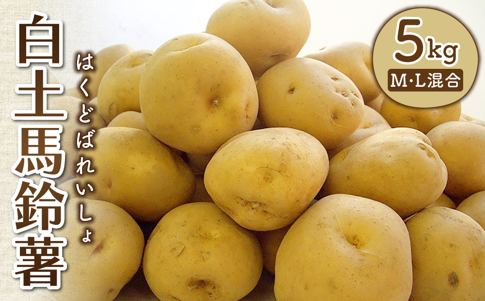 東御市産白土馬鈴薯約５kg【8～12月お届け】
