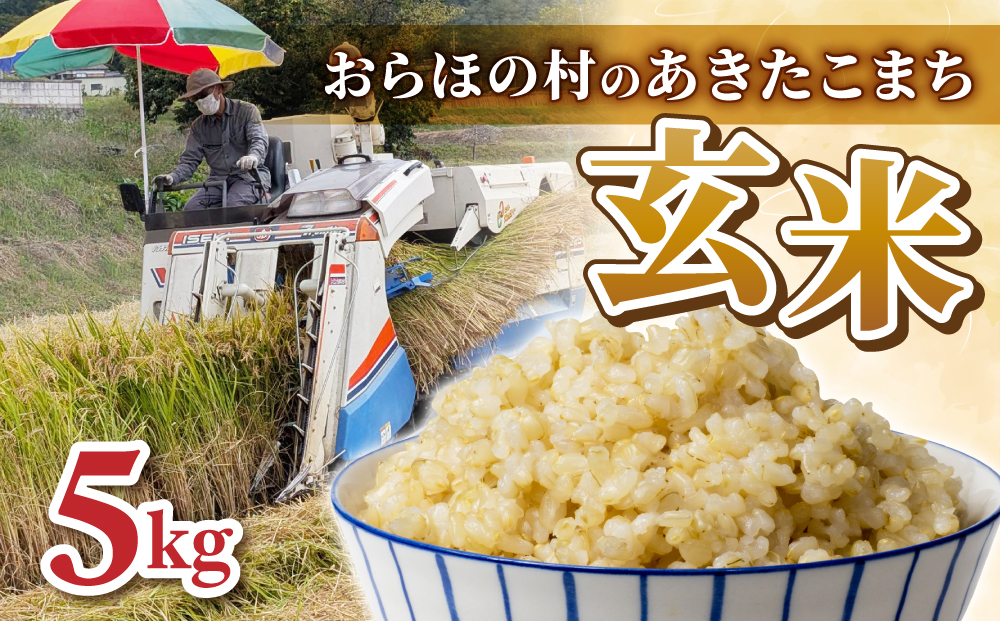 【田沢おらほ村】R7年産新米！あきたこまち　玄米5kg　※2025年11月中旬以降発送予定