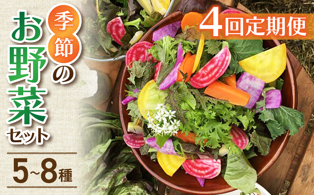 【４回定期便】季節のお野菜セット（２~３人様向け）｜アグロノーム