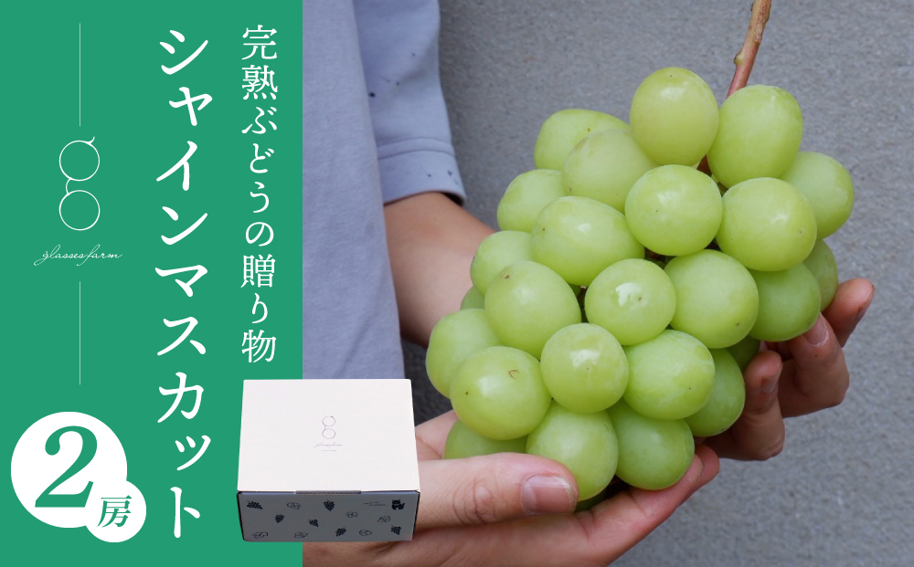 先行受付2025年発送【glasses farm】完熟ぶどうの贈り物（シャインマスカット2房）※2025年9月中旬~10月末頃発送予定