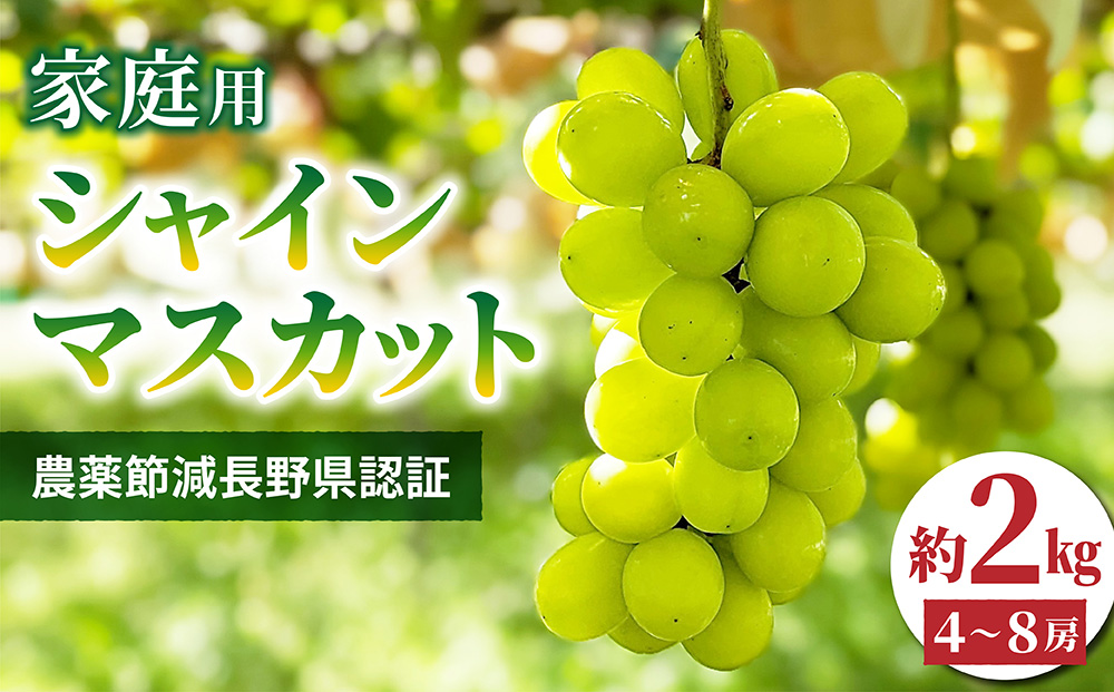 総合評価シャインマスカット　４キロ　セール！　長野県産　減農薬 フルーツ