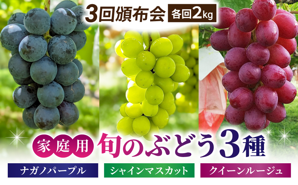 【東御こもだ果樹園】家庭用旬の３種のぶどう３回頒布会（シャインマスカット、ナガノパープル、クイーンルージュ??）各回２kg