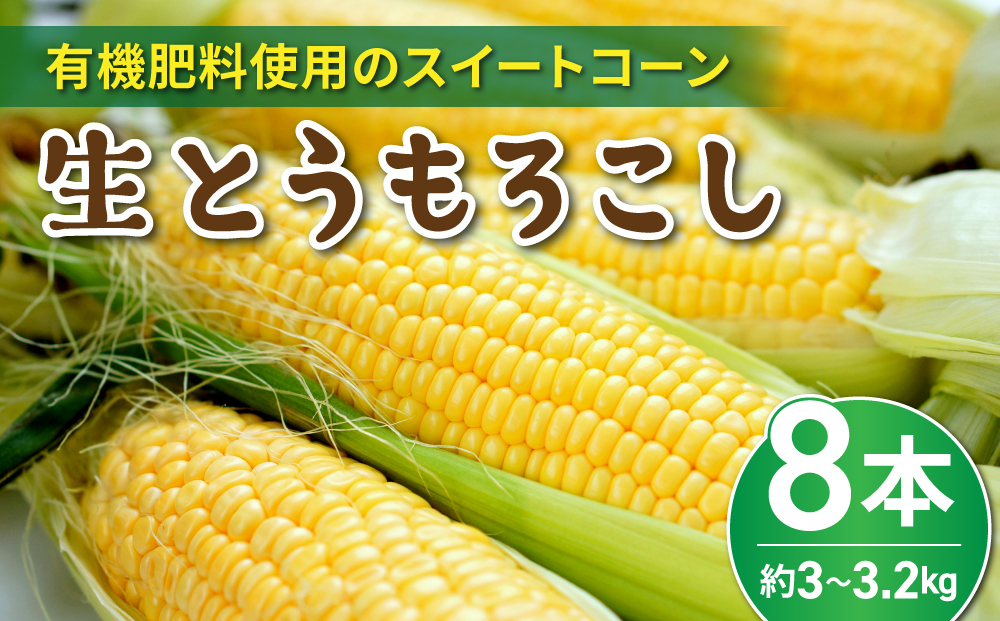 生とうもろこし 2L 8本 有機肥料使用のスイートコーン！ 長野県東御市産 ※7月中旬から順次発送予定※発送曜日指定不可