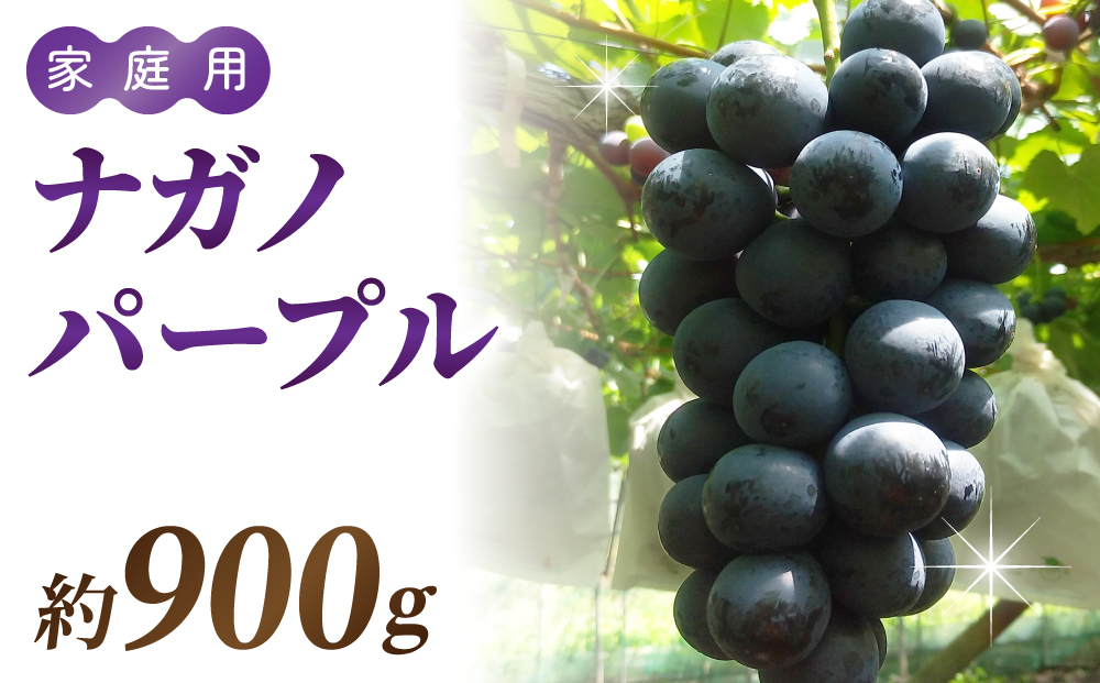 ナガノパープル ご家庭用 約900g～1kg（2～5房）※月、火、金曜日発送限定。発送日、発送曜日指定不可。