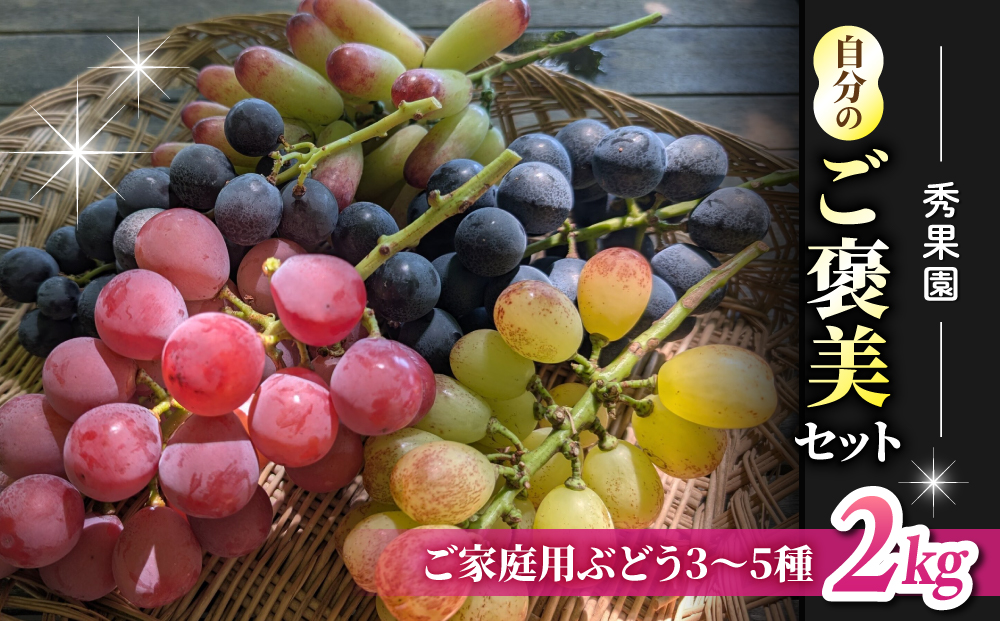 【先行受付2026年発送】自分のご褒美セット2kg（ご家庭用ぶどう3～5種、計２kg）｜秀果園　※2026年10月中旬〜12月中旬順次発送