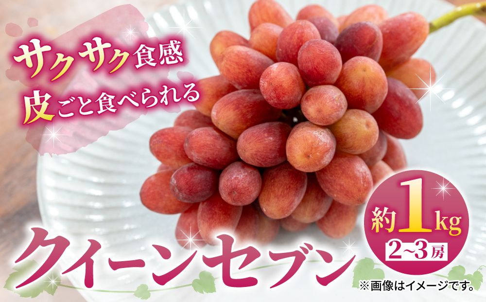 【先行受付2026年発送】皮ごと食べられるクイーンセブン2～3房（約1kg）｜あおさく農園　※2026年9月上旬以降発送予定｜農薬削減