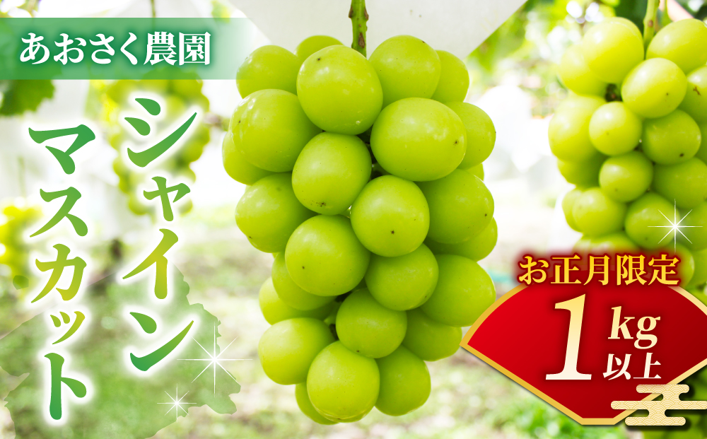 【お正月限定！50セット限り】シャインマスカット2～3房（1kg以上）※12月28日、29日、30日発送｜あおさく農園