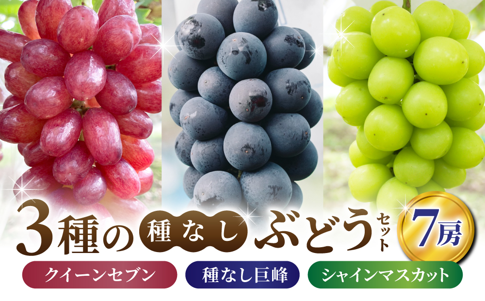 【あおさく農園】3種の種なしぶどうセット（クイーンセブン・巨峰・シャインマスカット）合計7房セット　※2025年9月中旬以降発送予定｜農薬削減
