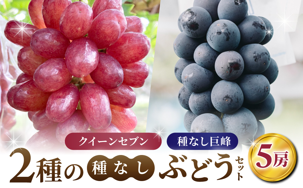 【あおさく農園】2種の種なしぶどうセット（クイーンセブン・種なし巨峰）合計5房セット　※2025年9月中旬以降発送予定｜農薬削減
