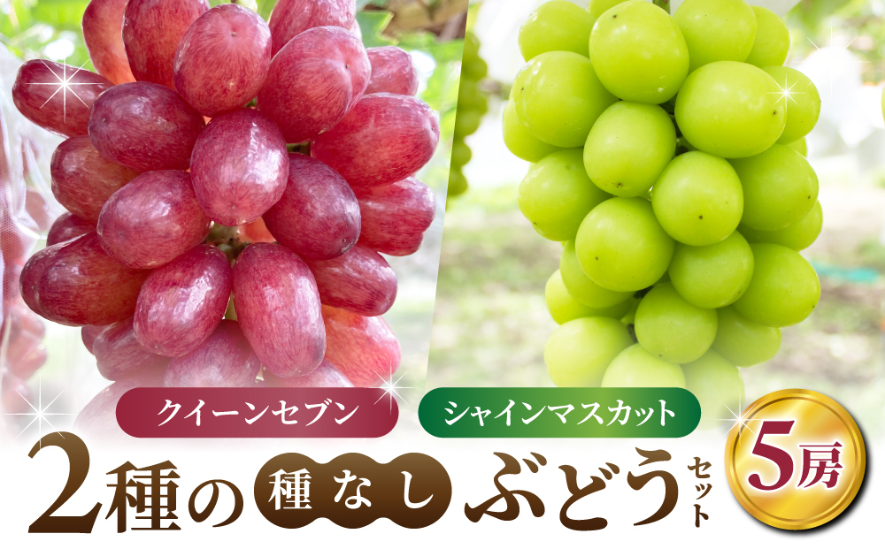 【あおさく農園】2種の種なしぶどうセット（クイーンセブン・シャインマスカット）合計5房セット　※2025年9月中旬以降発送予定｜農薬削減