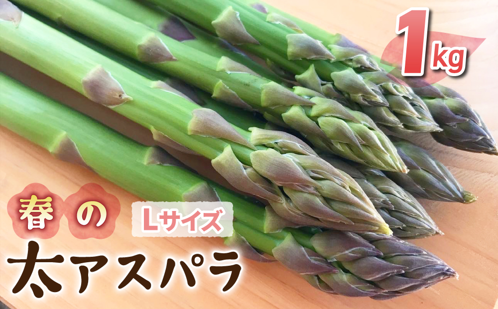 先行予約2025年発送【のららぼ農園】農家直送！新鮮！春獲れ太（L）アスパラ1kg（おおよそ30?40本）※2025年3月下旬?5月下旬発送予定