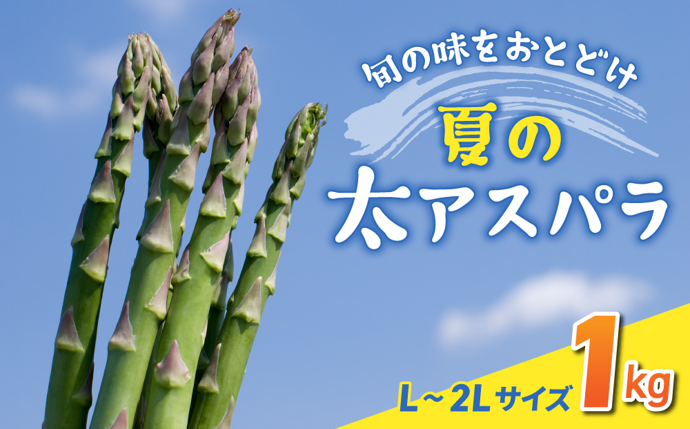 先行予約2025年発送【のららぼ農園】農家直送！新鮮！夏獲れ太（L～2L）アスパラ1kg（およそ25～35本）※2025年7月上旬～9月上旬発送予定