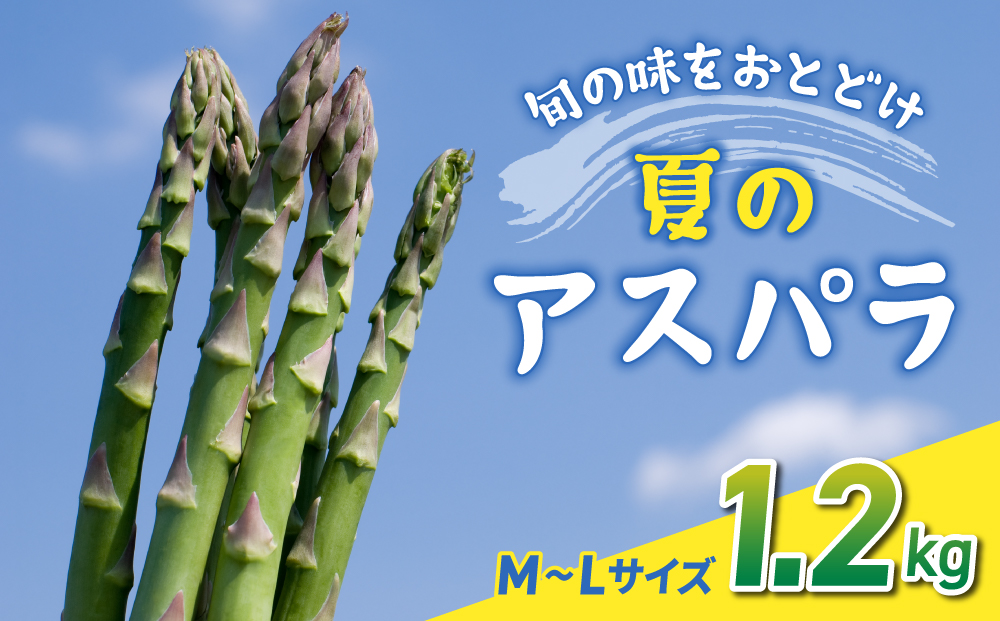 【先行受付2026年発送】農家直送！新鮮！夏獲れ細（M～L）アスパラ約1.2kg（およそ40～60本）｜のららぼ農園 ※2026年7月上旬～9月中旬発送予定