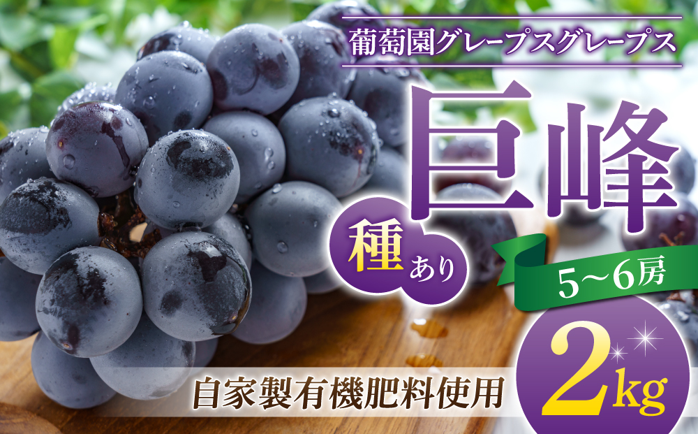 【葡萄園グレープスグレープス】種あり巨峰 約2kg（5～6房）