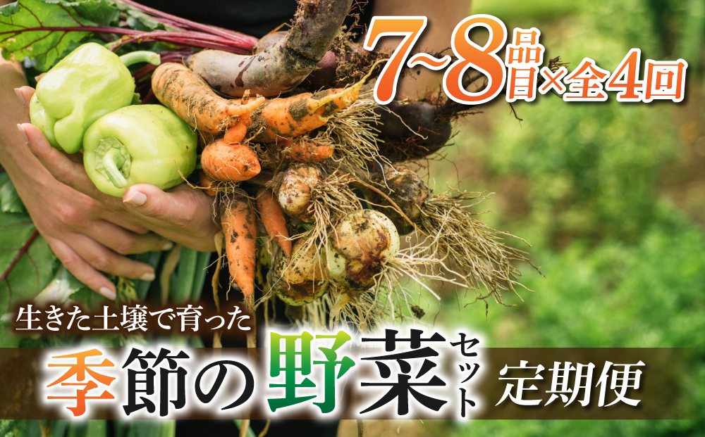 先行予約【里山JAPAN】【４回定期便】生きた土壌で育った『季節の野菜セット』｜2025年7月以降発送予定