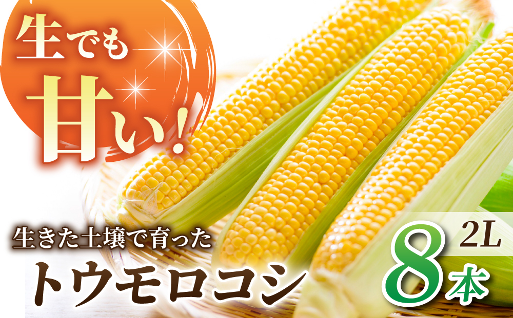 先行予約【里山JAPAN】生でもすごく甘い！生きた土壌で育った『とうもろこし』2Lサイズ8本｜２０２５年７月以降発送予定