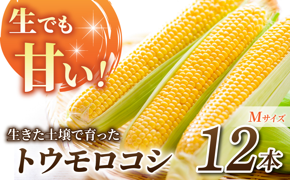 先行予約【里山JAPAN】生でもすごく甘い！生きた土壌で育った『とうもろこし』Mサイズ12本｜2025年7月以降発送予定