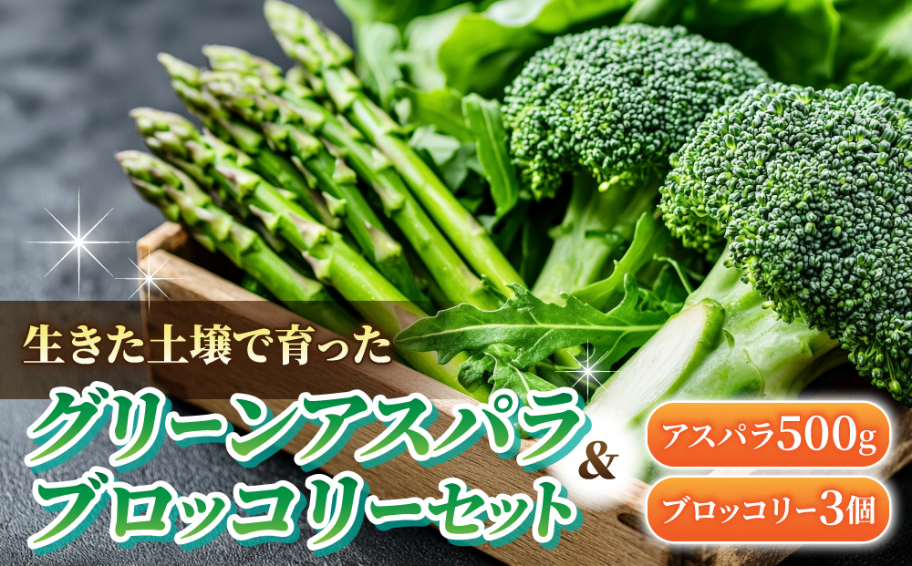 【先行受付2026年（令和8年）発送】長野県産！生きた土壌で育った『グリーンアスパラ＆ブロッコリーセット』｜【里山JAPAN】2026年6月中に発送予定