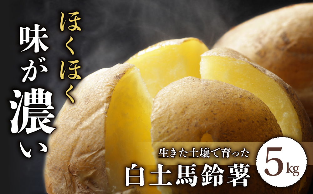 先行受付【里山JAPAN】長野県産新じゃがいも 生きた土壌で育った『白土馬鈴薯5kg』｜2025年7月～8月発送予定