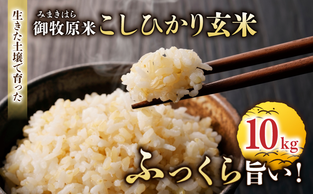【里山JAPAN】長野県産！生きた土壌で育った御牧原米こしひかり 玄米（令和7年産）　10kg（5kg×2袋）｜2025年10月上旬以降に発送予定