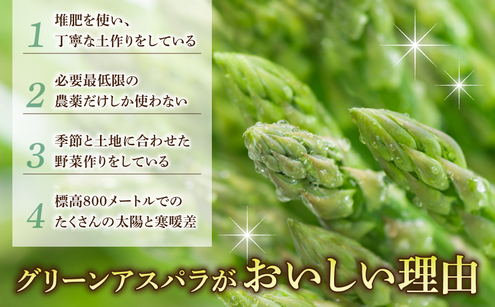 先行受付【里山JAPAN】甘くて柔らか 生きた土壌で育った『春のグリーンアスパラ』1kg｜長野県 ※2026年春発送