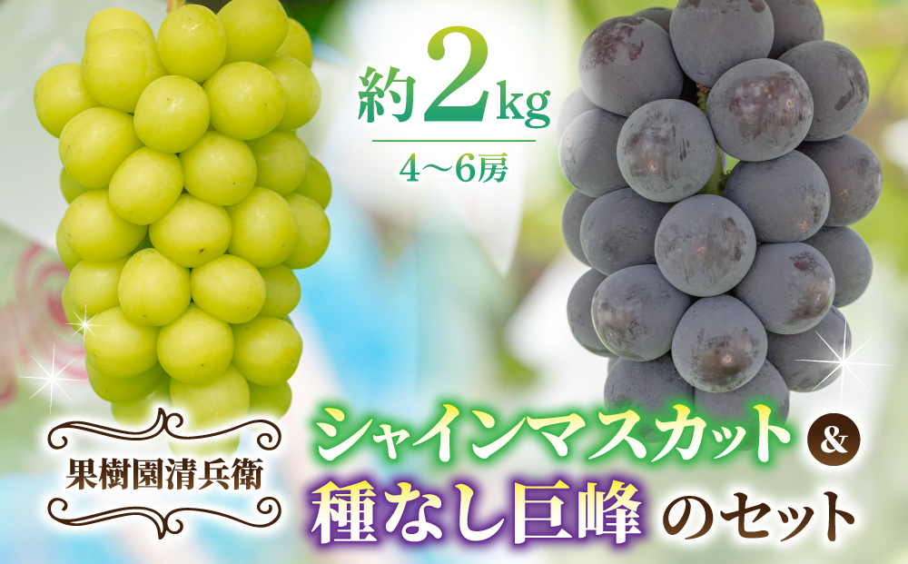 【果樹園清兵衛】シャインマスカットと種無し巨峰の詰め合わせ　約２kg（4~6房）