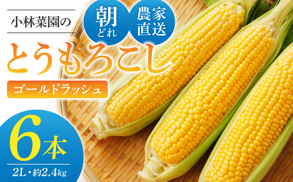 【先行受付2026年発送】農家直送！とうもろこし（ゴールドラッシュ）６本｜小林菜園 ※2026年8月上旬以降発送予定