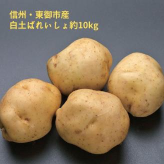 東御市産白土馬鈴薯約10kg[8月〜12月お届け]
