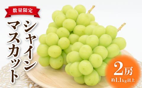【2026年発送】東御市産シャインマスカット2房【秋お届け】