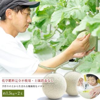 【令和8年度産先行受付】星と蜂のメロン　Lサイズ2玉【配送不可地域：離島】