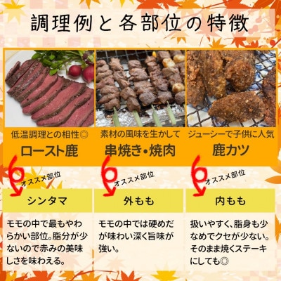 長野県産鹿肉ジビエ　鹿肉ももセット【シンタマ600g、内もも500g、外もも500g】【配送不可地域：離島】