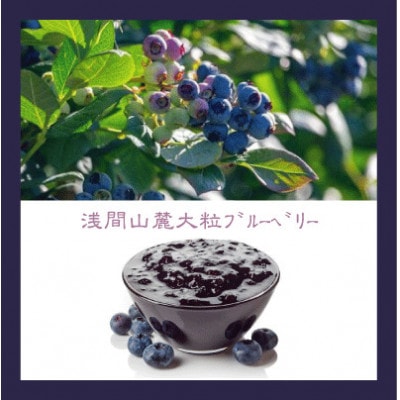 信州のバスクチーズケーキ【浅間山麓大粒ブルーベリー】【配送不可地域：離島】
