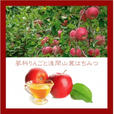 信州のバスクチーズケーキ【蓼科りんごと浅間山麓蜂蜜】【配送不可地域：離島】