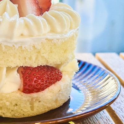 愛犬用 完熟いちごネイキッドケーキ Mサイズ 1個【配送不可地域：離島】