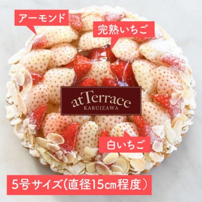【先行受付】【冷蔵】軽井沢農園パティスリーから自慢の紅白いちごタルト　5号サイズ【配送不可地域：離島・北海道・沖縄県】