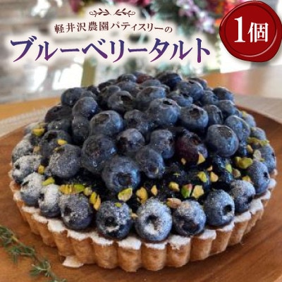 【毎月定期便】軽井沢の農園パティスリー 人気ブルーベリータルト・チーズケーキの3点セット全3回【配送不可地域：離島】