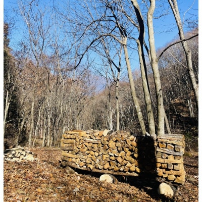 林業芸術社 乾燥薪(広葉樹約45cm /約50kg分/中割り～)【複数個口で配送】